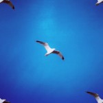 flyingformations-12