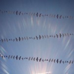 flyingformations-14