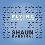 flyingformations-15