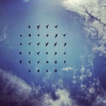 flyingformations-5