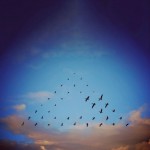 flyingformations-6
