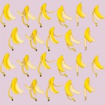 foodpatterns-7