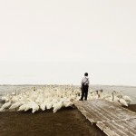 patience-17
