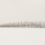 patience-28