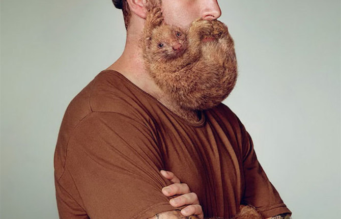 Animals in Men’s Beards