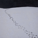 snowpainting-4