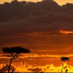 sunsetmasaimara-1