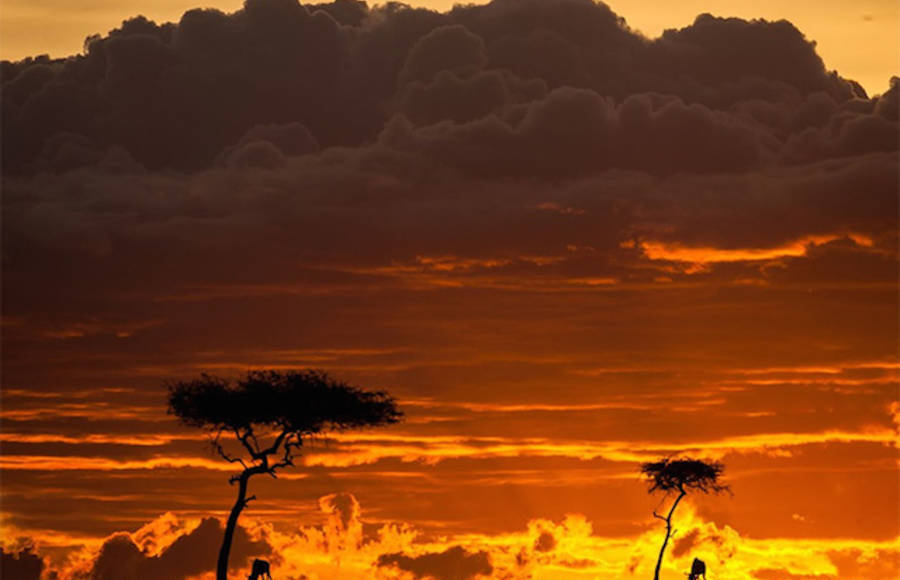 Fantastic Sunsets On The Masai Mara