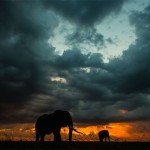 sunsetmasaimara-10