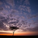 sunsetmasaimara-19