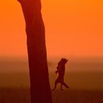 sunsetmasaimara-21