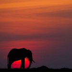 sunsetmasaimara-5