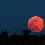 sunsetmasaimara-6