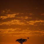 sunsetmasaimara-7