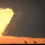 sunsetmasaimara-9