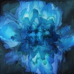 tobiastovera-4