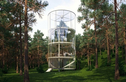 Greenhouse In The Middle of Trees