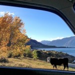 vanscapes-12