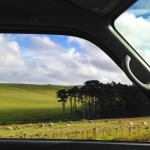 vanscapes-18