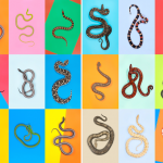 0-snakes 0-snakes