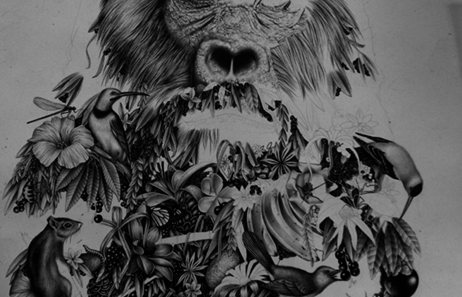 Mysterious Animals Drawings