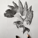 Animals4