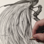 Animals6
