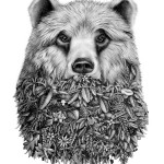 Animals7