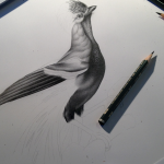 Animals8