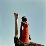 Annelie Vandendaels Photography 4