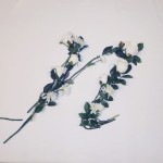 Better With Flowers Typeface10