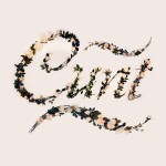 Better With Flowers Typeface5