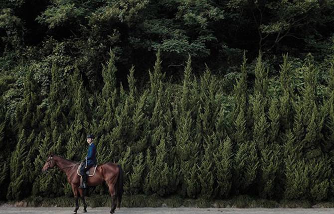 China Life Photography – Horse Year