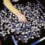 Eva OLeary Photography9