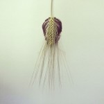Everyday Objects Optical Illusions4