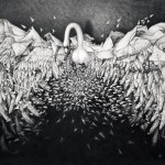Faramita Swan Drawing1