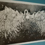 Faramita Swan Drawing4