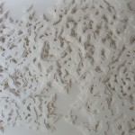 Hand Cut Paper Microbes by Rogan Brown10
