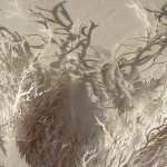 Hand Cut Paper Microbes by Rogan Brown16