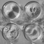 Hand Cut Paper Microbes by Rogan Brown2