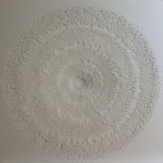 Hand Cut Paper Microbes by Rogan Brown9