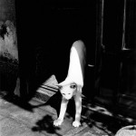 Japan in 1970s by Issei Suda1013
