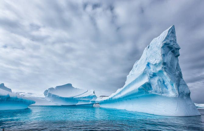 Martin Bailey Iceberg Photography