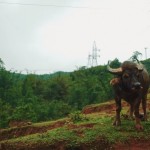Memories Of Vietnam3