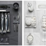 Monochromatic Food Photography1