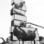 ROA - North West Walls 2