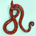 Rainbow Boa - Epicrates cenchria Rainbow Boa - Epicrates cenchria