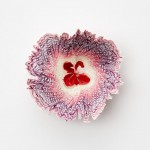 Takeo Paper Show5
