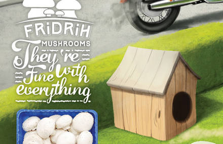 Fridrih MUSHROOMS – They’re fine with everything