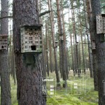 nestingblocks-3